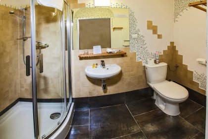 hotel - Castle Inn - zdjęcie 6