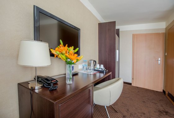 obiekt konferencyjny - Park Hotel Diament Zabrze**** / Hotel Diament Zabrze *** - Pokoje - zdjęcie 9