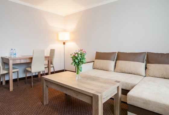 obiekt konferencyjny - Park Hotel Diament Zabrze**** / Hotel Diament Zabrze *** - Pokoje - zdjęcie 6