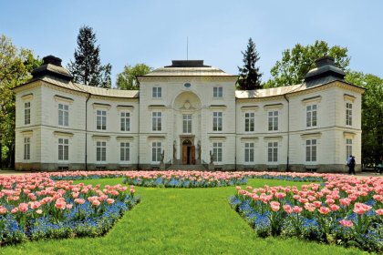 pałac - Muzeum Łazienki Królewskie - zdjęcie 6
