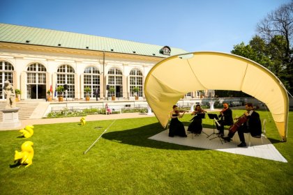 pałac - Muzeum Łazienki Królewskie - zdjęcie 7