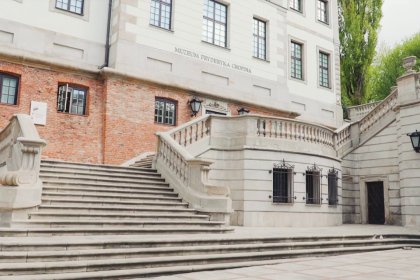 pałac - Muzeum Fryderyka Chopina - zdjęcie 5