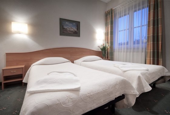 hotel - Restauracja & Hotel Gaja - Pokoje - zdjęcie 3