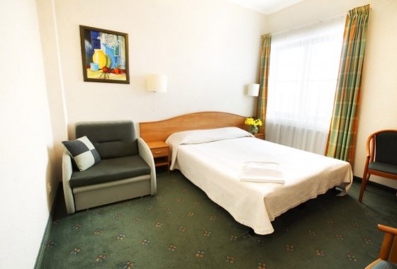 hotel - Restauracja & Hotel Gaja - Pokoje - zdjęcie 4