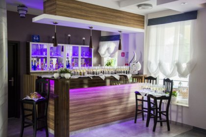 hotel *** - Villa Szamocin Hotel & Banquet Center - zdjęcie 1