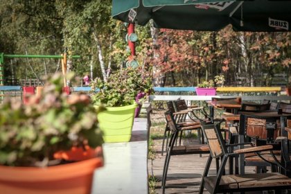 inny - Restauracja Dziki Zakątek - zdjęcie 5