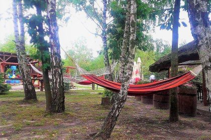 inny - Restauracja Dziki Zakątek - zdjęcie 6