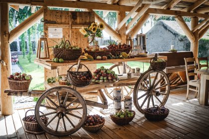 dworek - Skansen Bicz Family & SPA - zdjęcie 27
