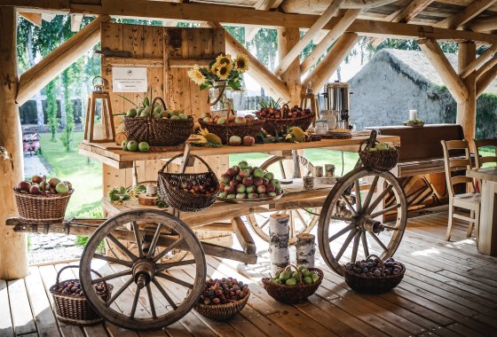 dworek - Skansen Bicz Family & SPA - Usługi - zdjęcie 12