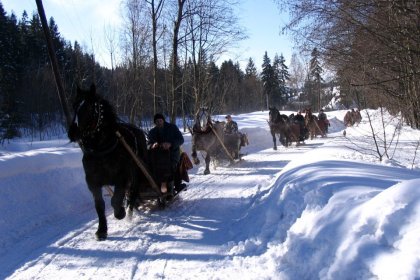 pensjonat - Gródek nad Bugiem - zdjęcie 16