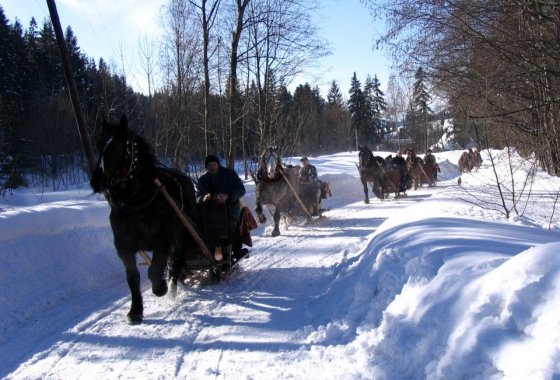 pensjonat - Gródek nad Bugiem - Usługi - zdjęcie 2