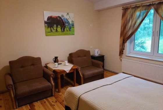 inny - Rancho pod Olszyną - Pokoje - zdjęcie 1