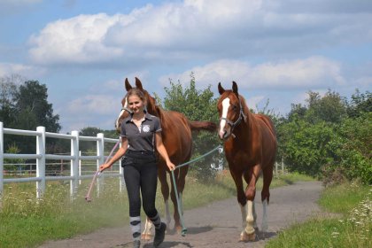 inny - Rancho pod Olszyną - zdjęcie 10