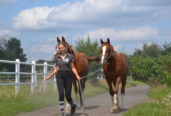 inny - Rancho pod Olszyną - Usługi - zdjęcie 3