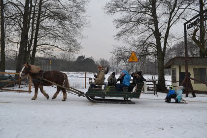 inny - Rancho pod Olszyną - zdjęcie 14