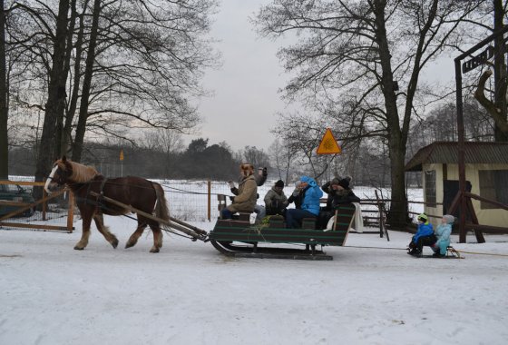 inny - Rancho pod Olszyną - Usługi - zdjęcie 7
