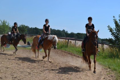inny - Rancho pod Olszyną - zdjęcie 11