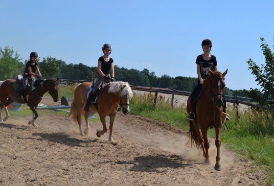 inny - Rancho pod Olszyną - Usługi - zdjęcie 4