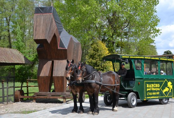inny - Rancho pod Olszyną - Usługi - zdjęcie 1