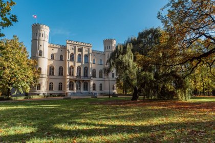zamek - Zamek Wielkopolski w Rokosowie - zdjęcie 1