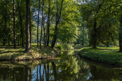 zamek - Zamek Wielkopolski w Rokosowie - zdjęcie 15