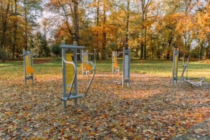 zamek - Zamek Wielkopolski w Rokosowie - zdjęcie 13