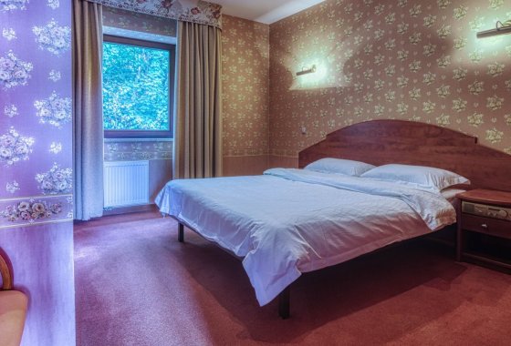 hotel - Hotel 4 Pory Roku - Pokoje - zdjęcie 8