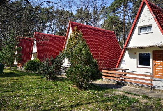 obiekt konferencyjny - Centrum Wypoczynkowo-Konferencyjne Trzy Jeziora - Pokoje - zdjęcie 9