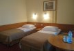 hotel *** - Hotel Delicjusz *** - zdjęcie 6