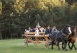 inny - Ośrodek Szkoleniowo-Wypoczynkowy Folwark Cyziówka - zdjęcie 71