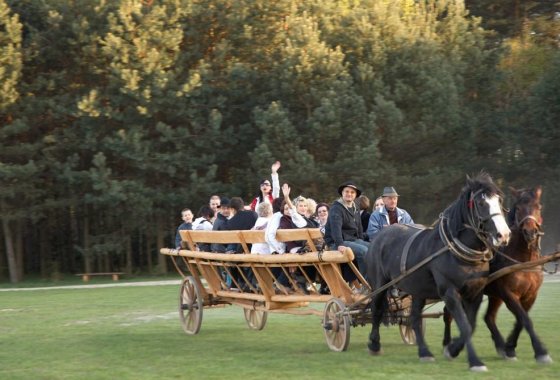 inny - Ośrodek Szkoleniowo-Wypoczynkowy Folwark Cyziówka - Usługi - zdjęcie 16