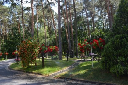 obiekt konferencyjny - Ośrodek Wypoczynkowy WODNIK - zdjęcie 14