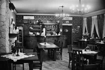 dworek - Hotel *** Dworek za Lasem - zdjęcie 13