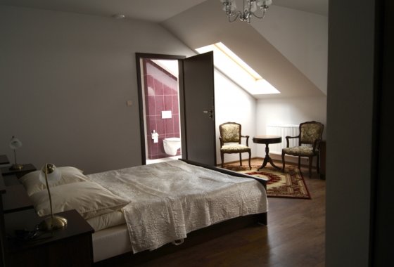 dworek - Hotel *** Dworek za Lasem - Pokoje - zdjęcie 1