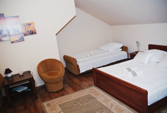 dworek - Hotel *** Dworek za Lasem - Pokoje - zdjęcie 4