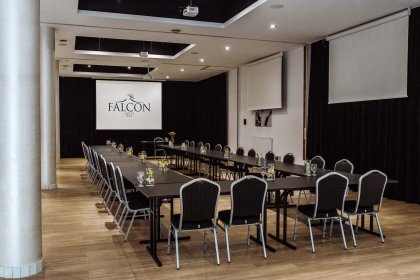 hotel *** - HOTEL FALCON *** - zdjęcie 10