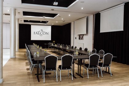 hotel *** - HOTEL FALCON *** - zdjęcie 11