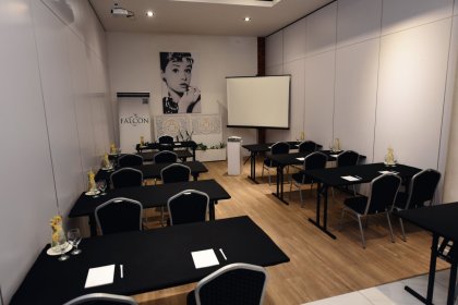 hotel *** - HOTEL FALCON *** - zdjęcie 15