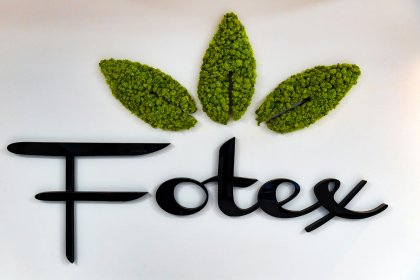 hotel - Hotel Fotex - zdjęcie 2