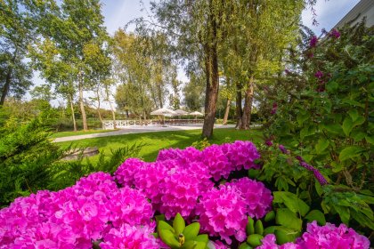hotel *** - Green Garden Hotel*** - zdjęcie 2