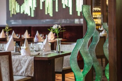 hotel **** - HOTEL PARTIZÁN**** Congress & Wellness Resort - Slovakia - zdjęcie 18