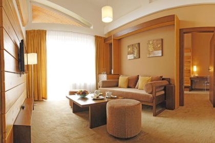 hotel **** - HOTEL PARTIZÁN**** Congress & Wellness Resort - Slovakia - zdjęcie 50