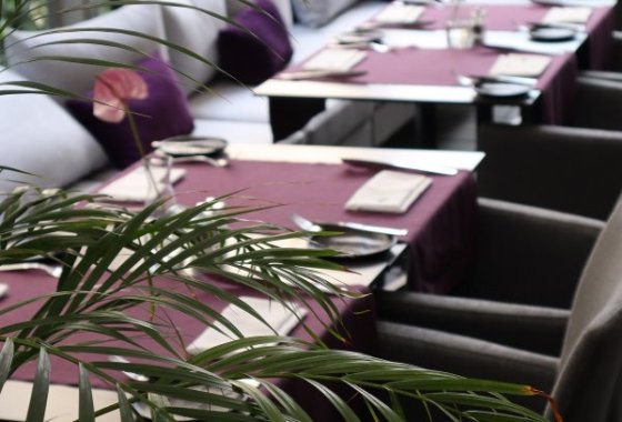 hotel **** - Hotel**** Grano - Usługi - zdjęcie 8