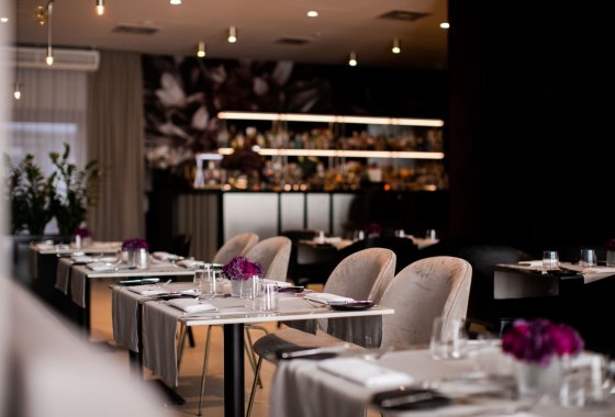 hotel **** - Hotel**** Grano - Usługi - zdjęcie 6
