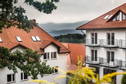 hotel - Hotel Kyriad Karkonosze - zdjęcie 3