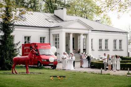 pałac - Pałac Żółwin - zdjęcie 46