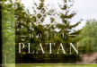 hotel *** - Hotel Platan*** - zdjęcie 16