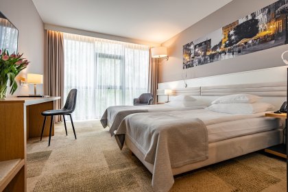 hotel *** - Hotel Platan*** - zdjęcie 29