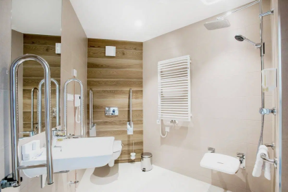 hotel *** - Hotel Platan*** - zdjęcie 44