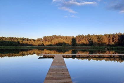 hotel - Hotel Odpocznia Resort i Las - zdjęcie 1